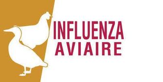 Influenza aviaire: mise en place d’une zone de surveillance