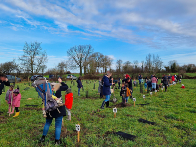 Plantation d’arbres
