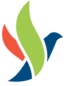 Atelier numérique sénior